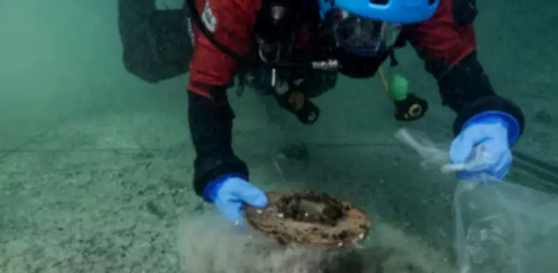 Naufragio romano en Suiza revela cargamento intacto de aceite ibérico de hace 2.000 años