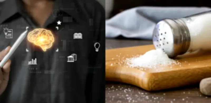 Neurocientífico de Stanford revela cómo la sal afecta el cerebro y el equilibrio hídrico corporal