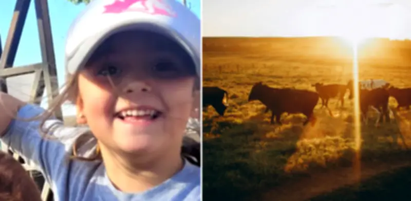 Niña de 7 años sorprende en remates ganaderos de Córdoba con su inteligencia y empatía