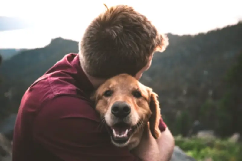 Ocho señales clave que demuestran el amor y confianza de tu perro hacia ti