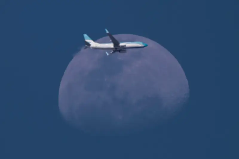 OEA e Icetex abren convocatoria de becas para maestrías y doctorados en América Latina