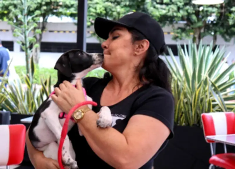 Olga Jaimes: Una década dedicada al rescate y protección de animales abandonados en Santander