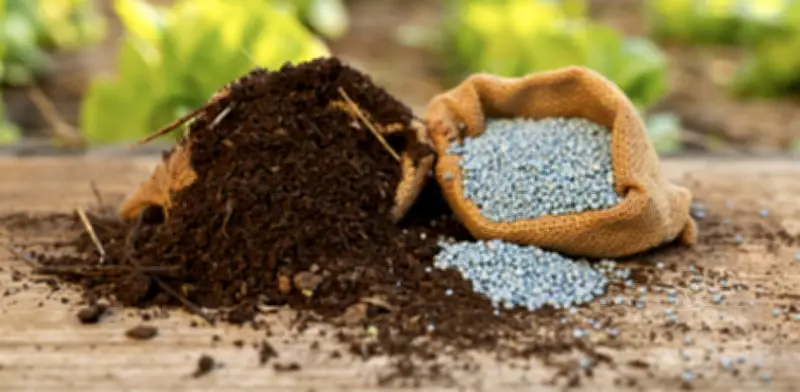 ONU busca garantizar paso de fertilizantes por estrecho de Ormuz ante crisis agrícola global