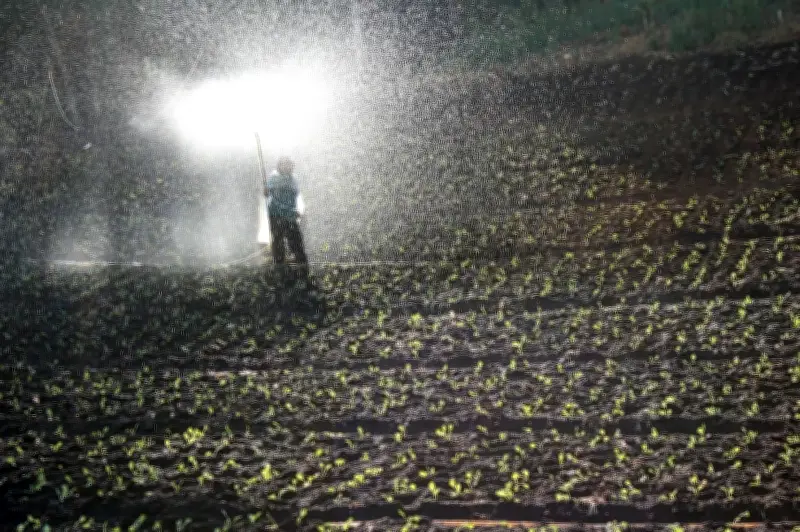 ONU crea grupo de trabajo para asegurar paso de fertilizantes por el estrecho de Ormuz