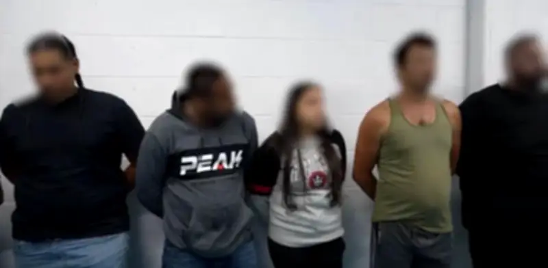 Operativo con drones desmantela red internacional de peleas a muerte de perros en Bogotá