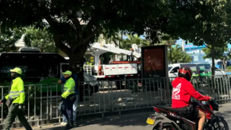 Operativo de rescate animal en Barranquilla: bloquean acceso para salvar 40 perros y 25 gatos