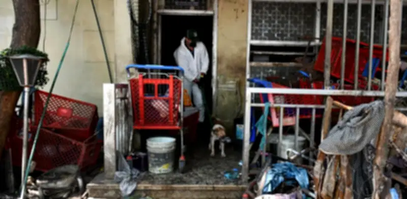 Operativo en Barranquilla: rescatan más de 80 animales y retiran 80 carritos de Olímpica y media tonelada de basura