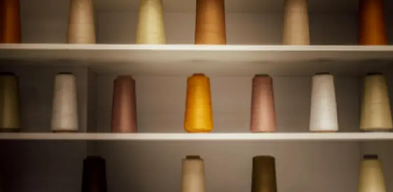 Padova revoluciona el retail colombiano con tiendas que son experiencias de vida