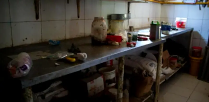 Panadería en Soledad clausurada por presencia de gato y cucarachas en área de producción