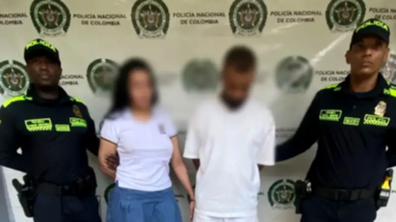 Pareja lanza perrita desde balcón en Medellín tras discusión: capturados por maltrato animal