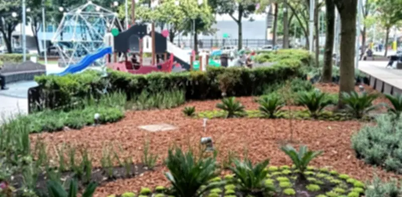 Parque 93 de Bogotá se convierte en corredor ecológico con casi 6.000 plantas nativas
