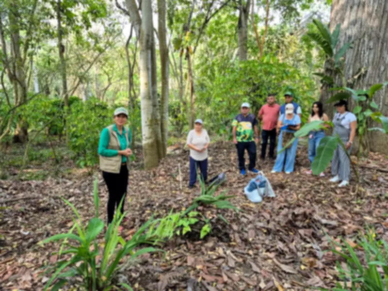 Parque El Gallineral en San Gil se transforma con jardines de mariposas y siembra nativa
