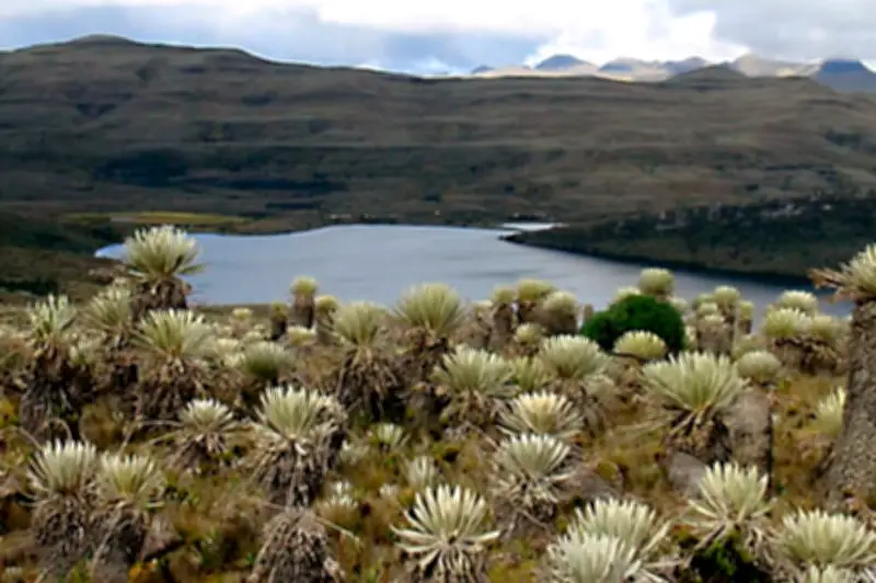 Parque Nacional Sumapaz no permite ecoturismo por falta de condiciones técnicas y operativas