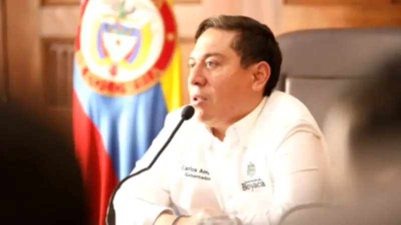 Partido Verde en crisis: tensiones internas y posibles rupturas definen su futuro político