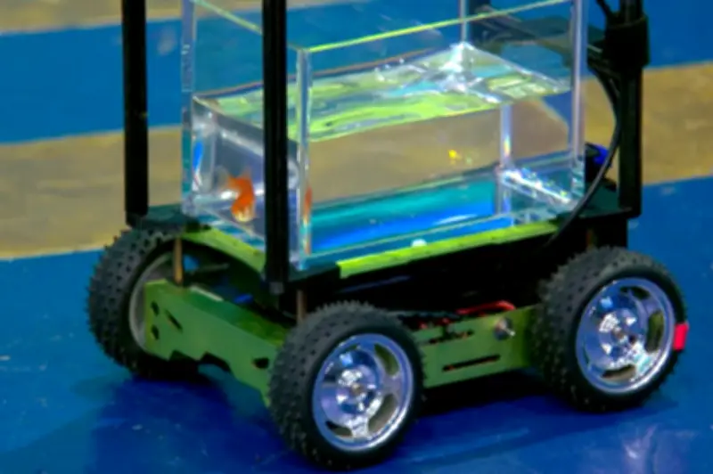 Pez dorado establece récord mundial al conducir vehículo con tecnología de sensores