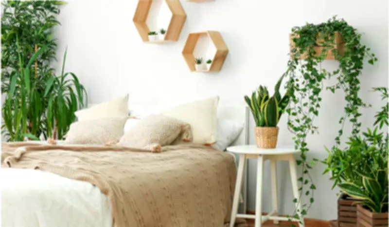 Plantas en el dormitorio: beneficios y especies fáciles para decorar y purificar el aire