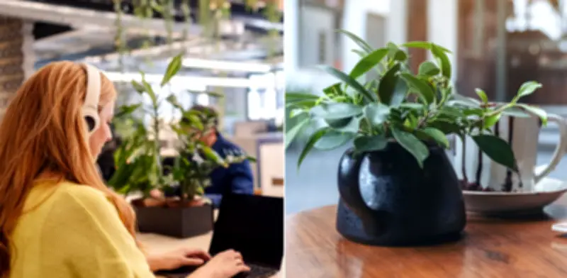 Plantas en oficinas: cómo transforman la productividad y el bienestar laboral