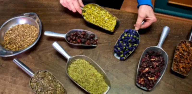 Plantas medicinales recuperan protagonismo global por película 'Hamnet' y Día Mundial de la Vida Silvestre