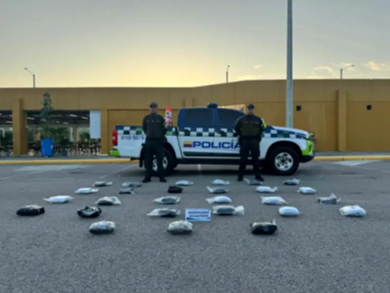Policía de Bolívar incauta 16.509 dosis de marihuana en camión de carga en ruta Bogotá-Cartagena