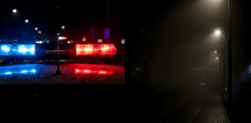 Policía herido con arma blanca en ataque de ladrones en zona semiboscosa de Modelia, Bogotá