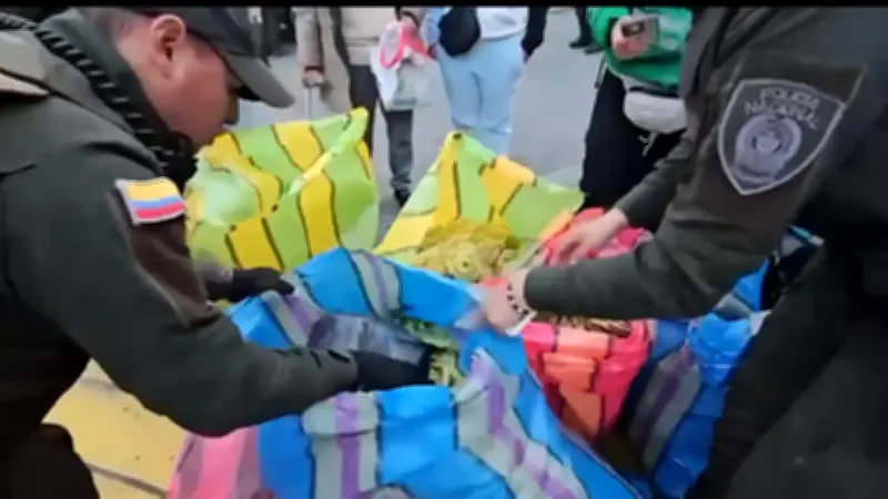 Policía incauta más de 140 kilos de palmas y especies protegidas en Domingo de Ramos en Bogotá