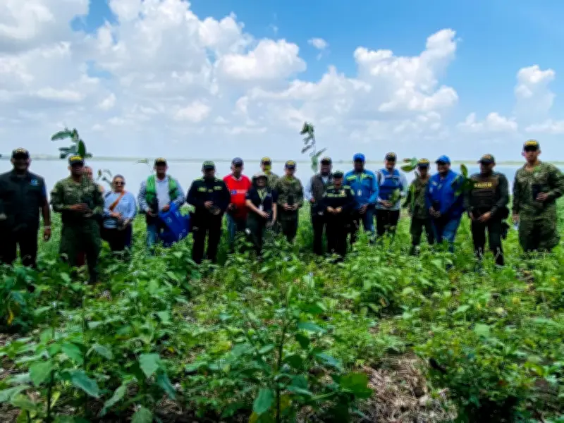 Policía Nacional siembra 200 mil árboles en Bolívar con enfoque étnico y comunitario