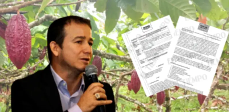 Procuraduría formula cargos a exgobernador del Guaviare por fallas en proyecto cacaotero con 64,5% de deserción