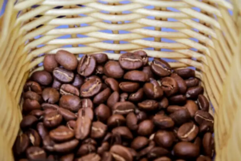 Producción de café en Colombia cae 36% en febrero de 2026 según Federación Nacional de Cafeteros