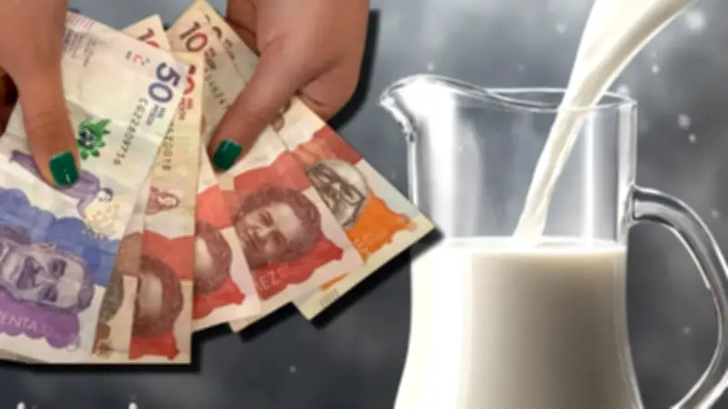 Productores lecheros denuncian caída en ganancias mientras Algarra cierra operaciones