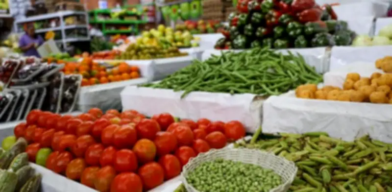 Programa agrícola fortalecerá a 1.000 familias campesinas en Cundinamarca con inversión de $4.200 millones