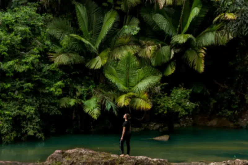 Puerto Rico lanza campaña turística global 'Despierta tus sentidos' para atraer viajeros