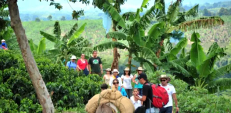 Quindío proyecta crecimiento turístico del 15% con campaña 'No me creas, vívelo' en Anato 2026