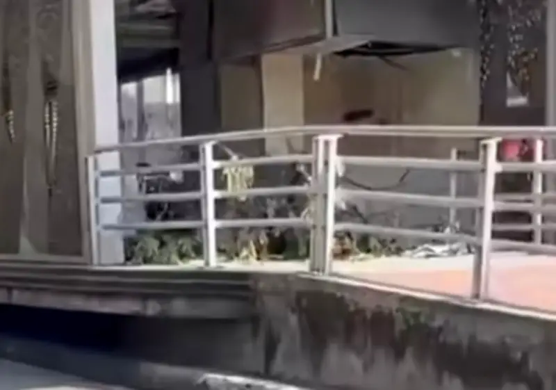 Árbol crece dentro de estación de Metrolínea en Bucaramanga, revelando problemas de mantenimiento