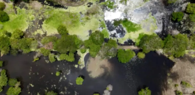 Recuperan 188 hectáreas de ciénaga en Córdoba que estaban en manos de la red criminal de 'Don Mario'