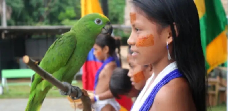 REDD+ Matavén: Conservación de bosques y bonos de carbono en la Orinoquía y Amazonía