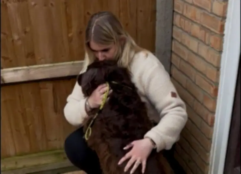 Reencuentro conmovedor: Perra robada en 2017 regresa a su dueña tras casi nueve años