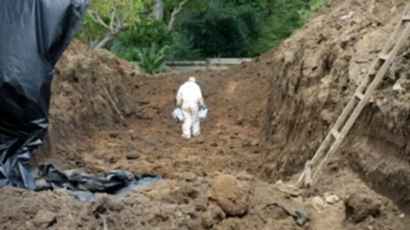 Rescatan 41 cuerpos en Necoclí antes de que erosión costera los borre del mapa