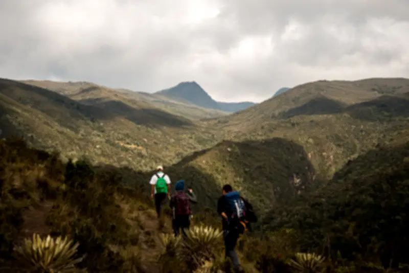 Reserva Santa María del Sumapaz: El rincón de páramo que se puede recorrer en Bogotá