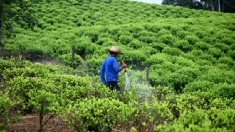 Restitución de tierras en Antioquia no supera el 15% de las solicitudes