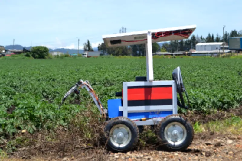 Robot móvil de la Universidad de La Sabana optimiza cultivos de papa con tecnología de precisión