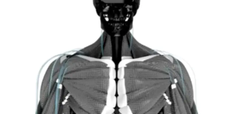 Robots humanoides: la nueva mano de obra en fábricas de automóviles