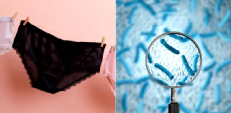 Ropa interior con bisfenoles: alerta por riesgo de cáncer y alteraciones hormonales