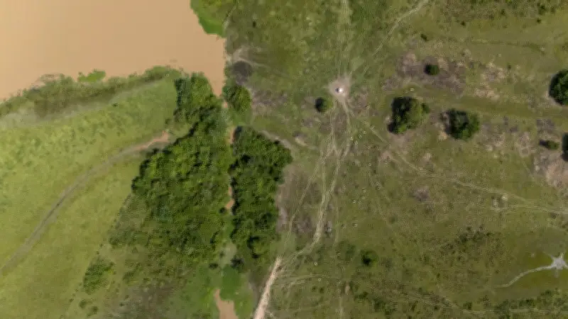 Sabanas de la Orinoquia: agroindustria avanza, pero modelo sostenible en Casanare brilla como alternativa