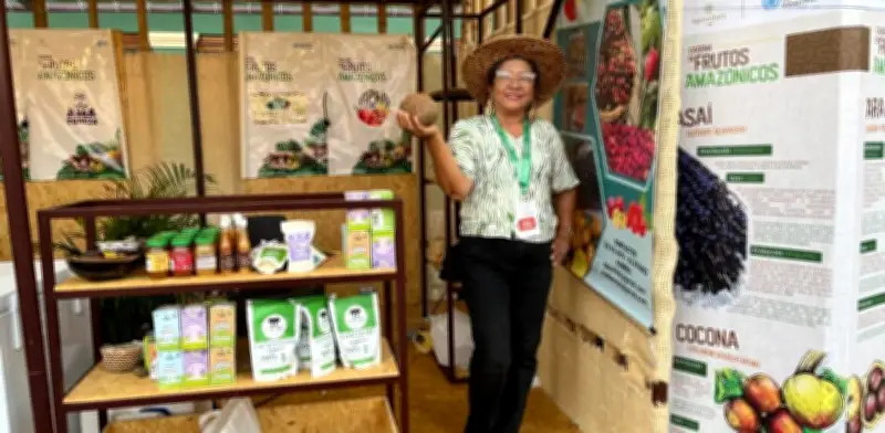 Sacha Inchi: El 'Maní del Inca' que transforma la Amazonía colombiana en superalimento de exportación