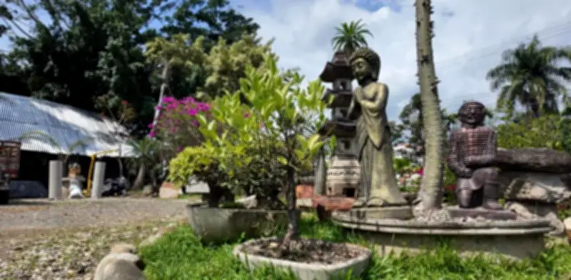 SAE recupera lujoso predio de narco en Cali valorado en $4.078 millones para proyectos comunitarios