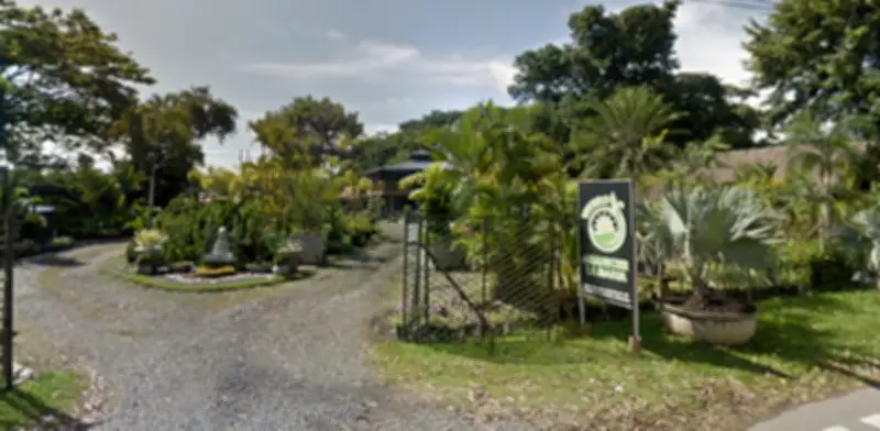 SAE recupera vivero en Cali incautado a narcotráfico: será museo de memoria