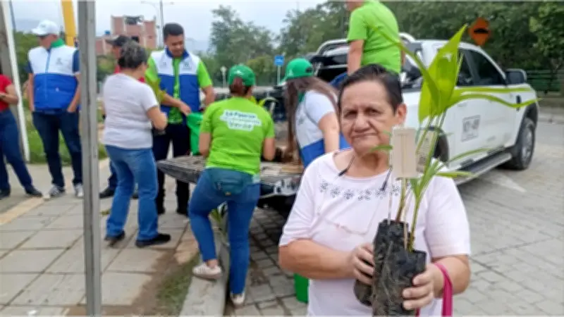 Santander celebra Domingo de Ramos con conciencia ambiental y palmas sostenibles