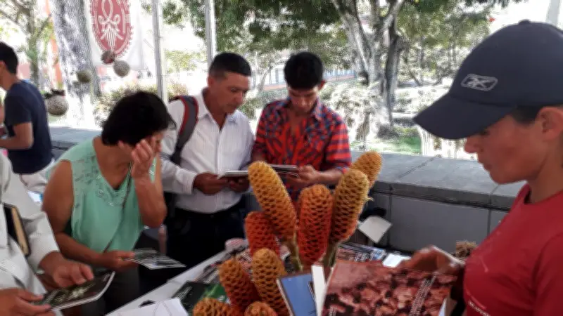 Santander impulsa primer banco de semillas nativas con trueque comunitario en Bucaramanga