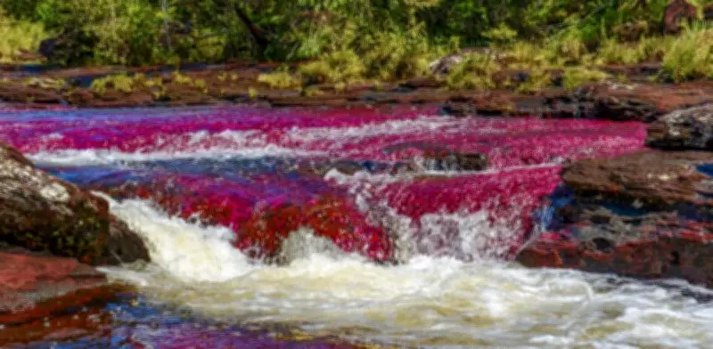 Satena reactiva vuelos Bogotá-La Macarena para temporada turística de Caño Cristales