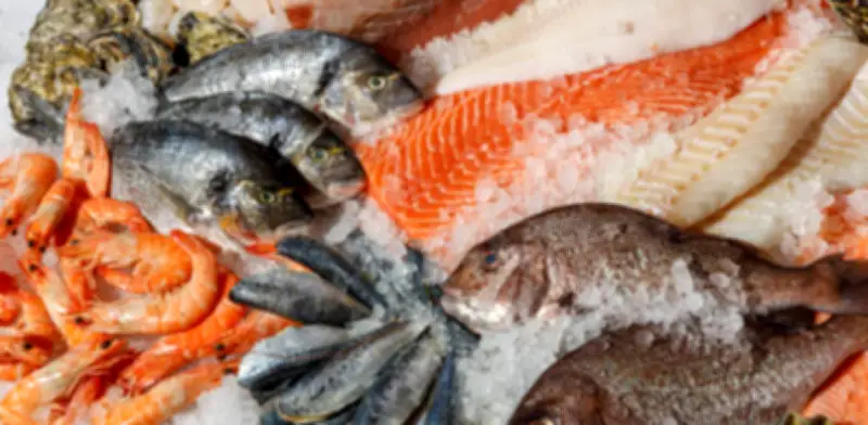 Semana Santa: Abastecimiento de pescado garantizado con precios estables en Colombia